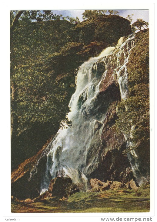 Ireland Eire - Powerscourt Waterfall - Enniskerry - Wicklow - Wicklow