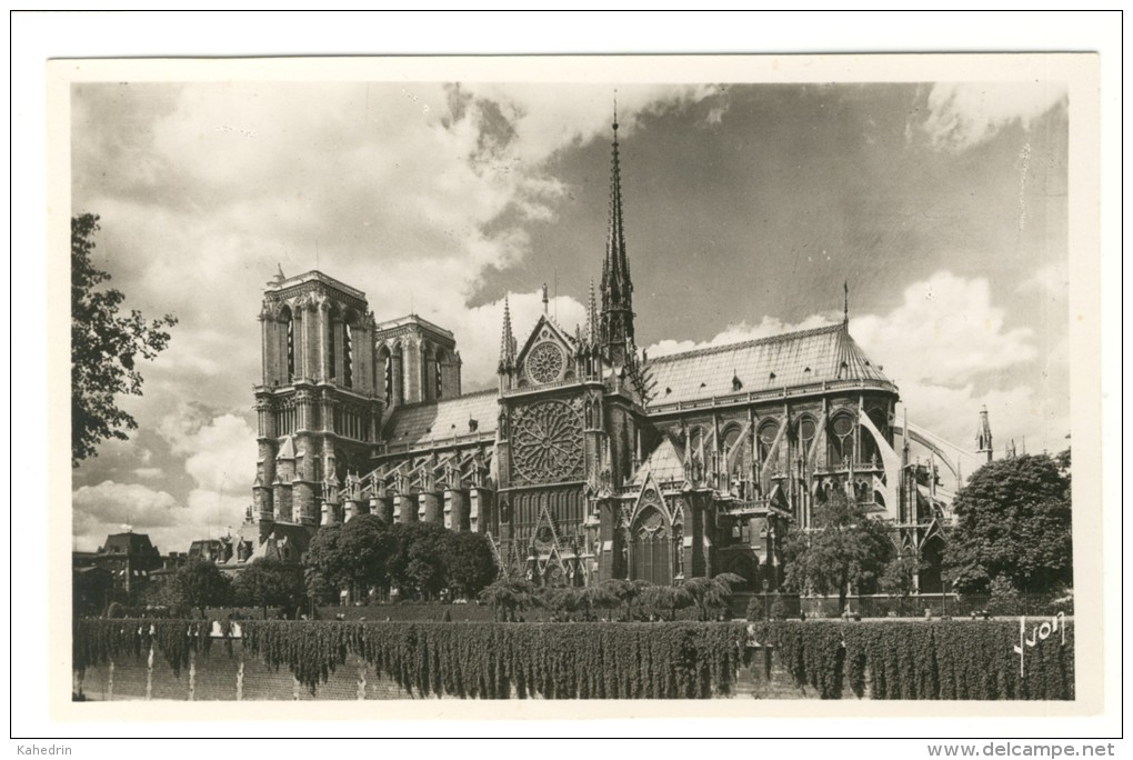 Paris - Notre-Dame - Et Le Square De L'Archeveche - Editor: D'Art Yvon - Notre-Dame De Paris