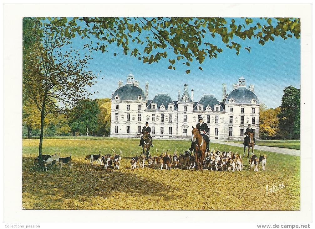 Cp, Chasse à Cour, Cheverny (41) - Les Piqueux Et La Meute De L´Equipage De Cheverny Devant Le Château - Chasse