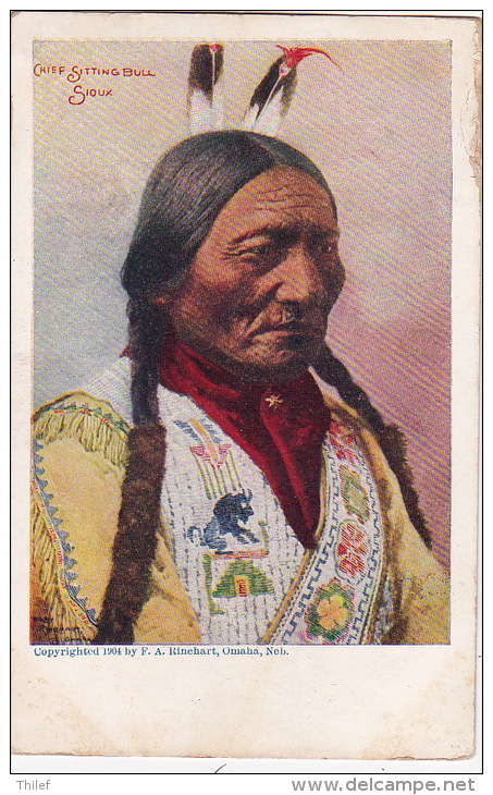 Sitting Bull 1: Chief Sioux 1904 - Indiens D'Amérique Du Nord