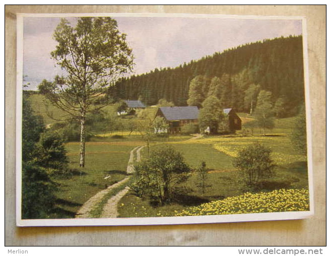 Deutschland -  Farbfoto Herold -Sachsen - -W.Girarldel - Essen      D108254 - Thum