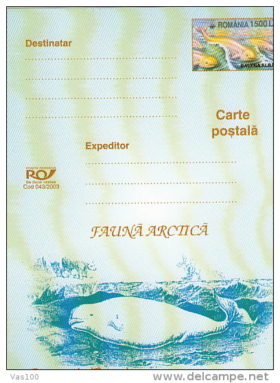 WHITE WHALE, PC STATIONERY, ENTIER POSTAL, 2003, ROMANIA - Wale