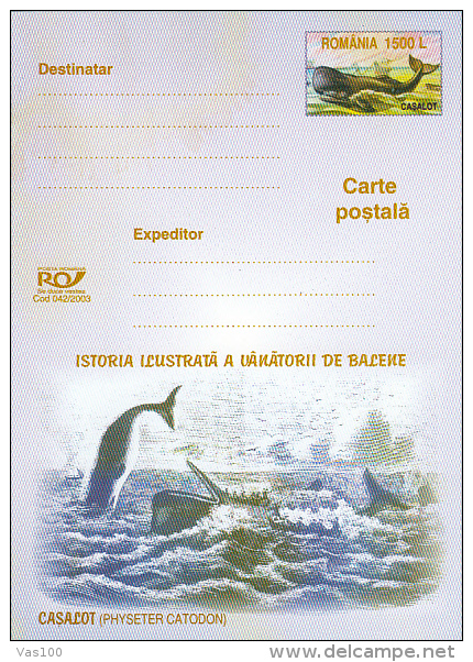 WHALE, PC STATIONERY, ENTIER POSTAL, 2003, ROMANIA - Baleines