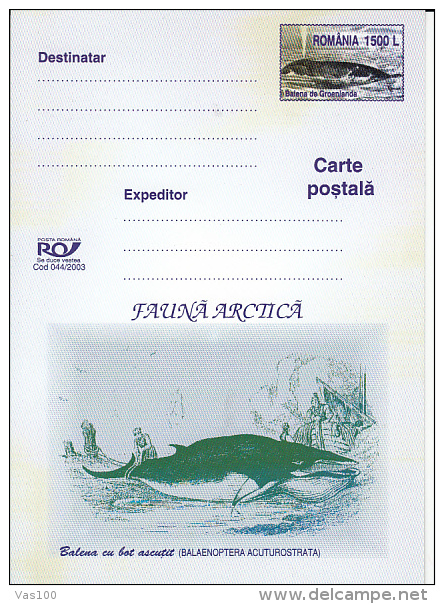 WHALE, PC STATIONERY, ENTIER POSTAL, 2003, ROMANIA - Baleines