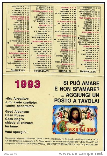 Calendarietto - Casa Di Cura San Camillo - Forte Dei Marmi - Lucca - 1993 - Petit Format : 1991-00