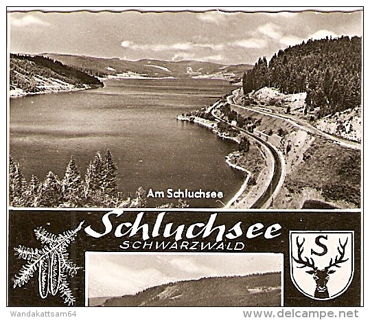 AK 696 Schluchsee SCHWARZWALF Mehrbildkarte Mit Wappen 7 Bilder 12. 8. 65 --8 7826 SCHLUCHSEE Jahreskurort - Schluchsee