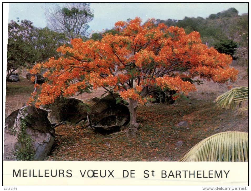 (888M) France- St Barthelemy Island - Autres & Non Classés