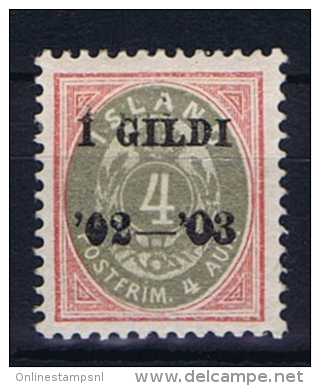 Iceland: 1902  Mi 25B  MH/* - Ongebruikt