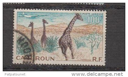 Cameroun YV PA 47 O 1956 Giraffe - Giraffes