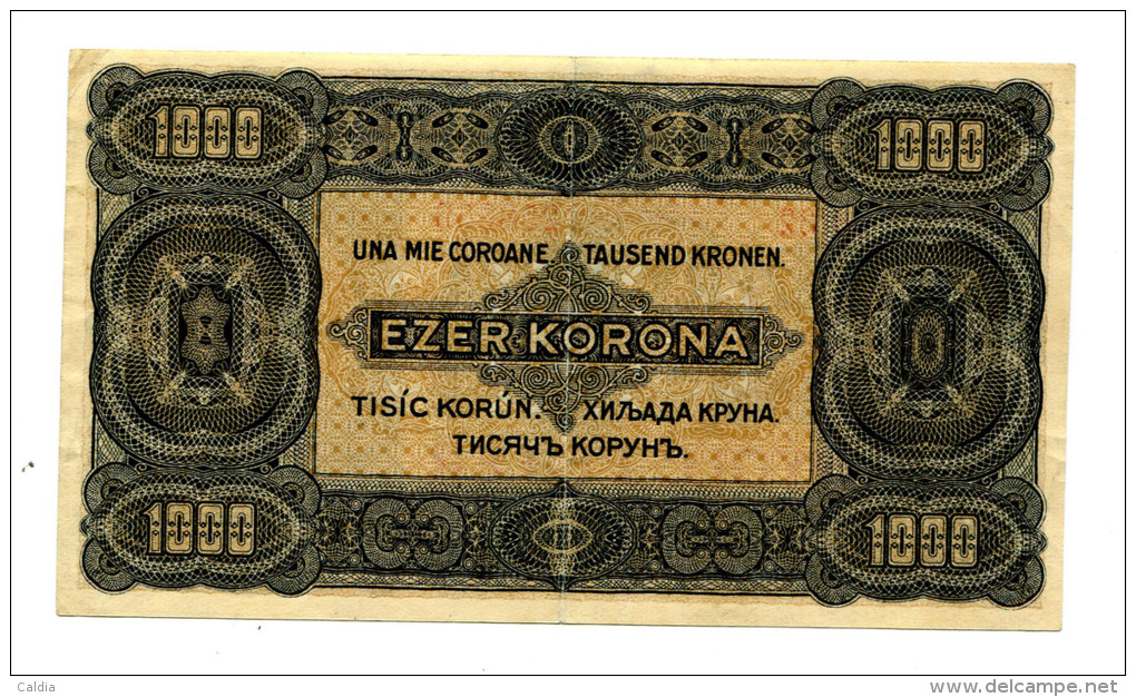 Hongrie Hungary Ungarn 1.000 Korona 1923 "" 8 Filler "" Overprint # 2 - Ungheria