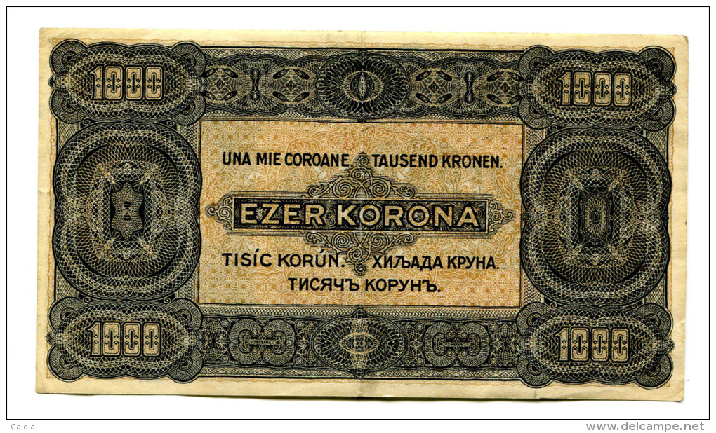 Hongrie Hungary Ungarn 1.000 Korona 1923 "" 8 Filler "" Overprint # 5 - Ungheria