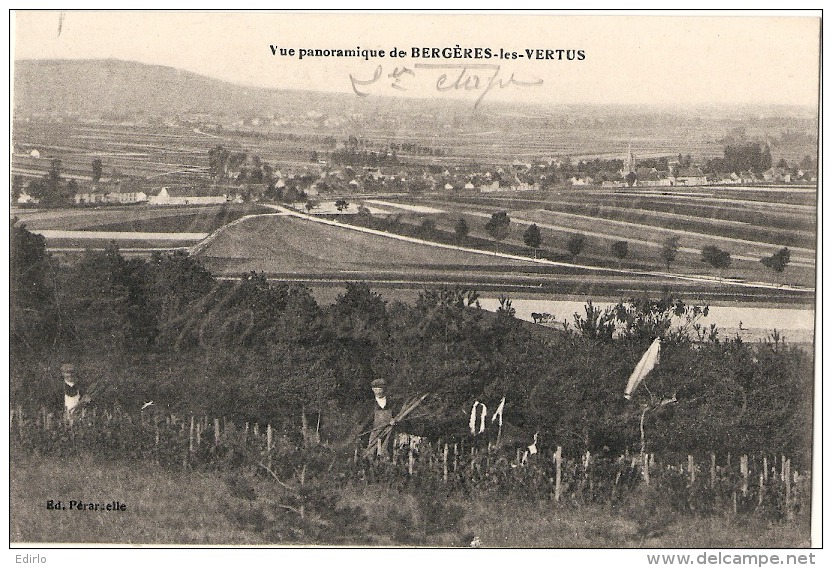 BERGERES LES VERTUS Vue Panoramique - Travail Dans Les Vignes  - écrite TTB - Autres & Non Classés