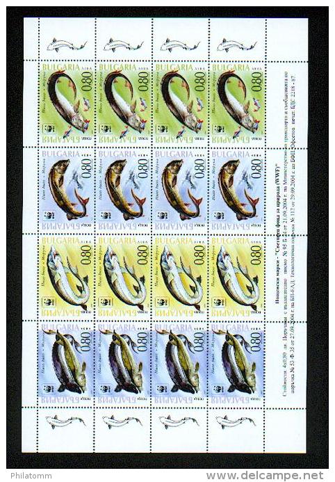 WWF - Bulgarien - Mi.Nr. 4678 / 4681 - "Störe" ** / MNH (4-er Kleinbogen / 4-set Sheet) - Unused Stamps