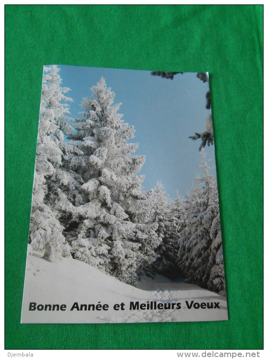 Carte  De Bonne  Année  Meilleurs Voeux Representant  Un Paysage D Hivers - Autres & Non Classés