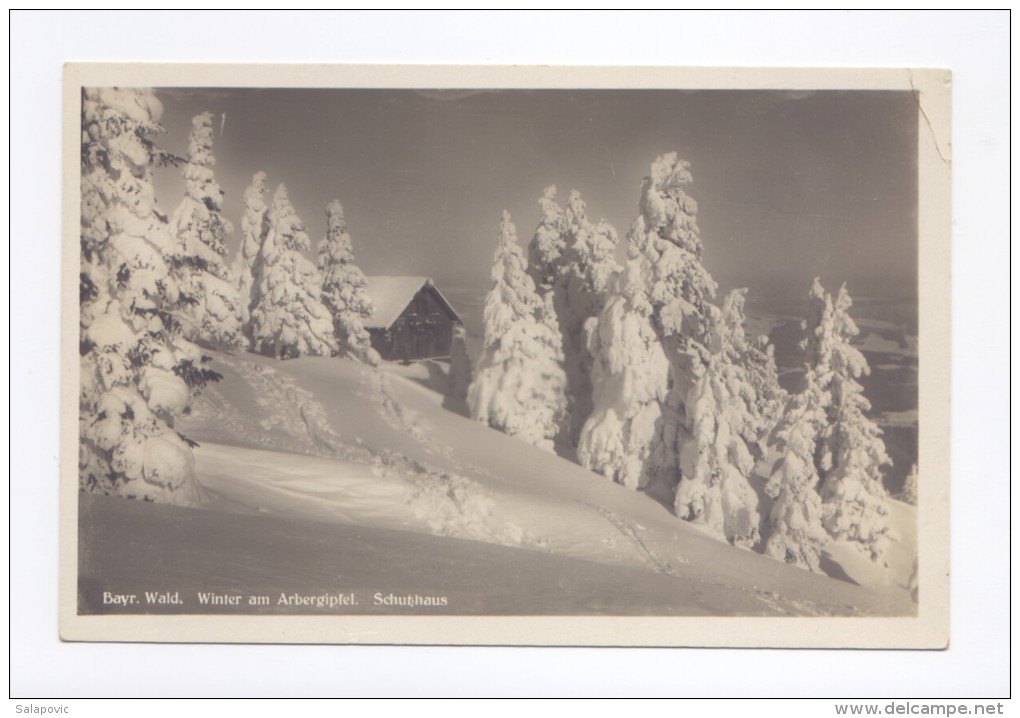 BAYR. WALD. WINTER AM ARBERGIPFEL. SCHUTZHAUS   STR1/178 - Regen