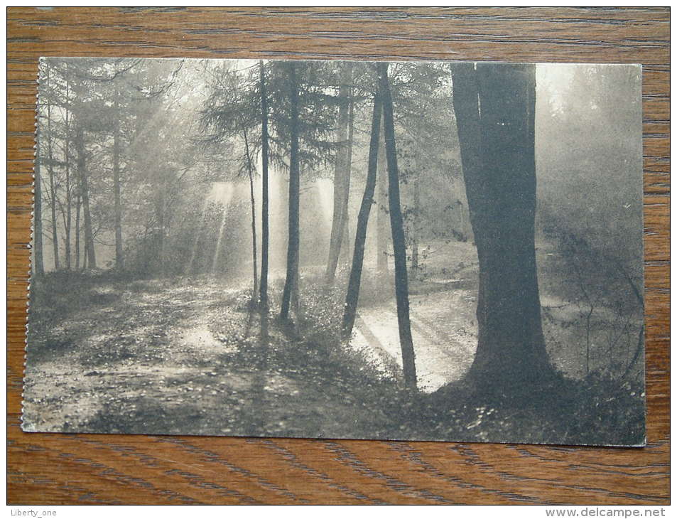 Soleil Brumeux Vallon De La Vuylbeek / Anno 1913 ( Zie Foto Voor Details ) !! - St-Pieters-Woluwe - Woluwe-St-Pierre