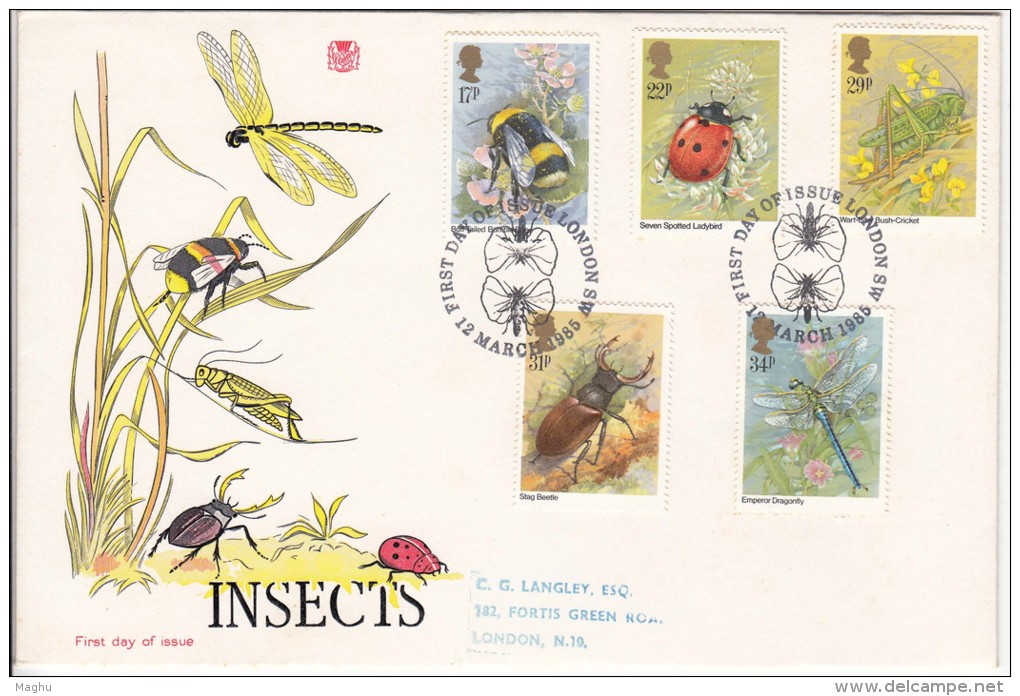 Great Britain FDC 1985, Insects, Insect, - 1981-1990 Decimal Issues