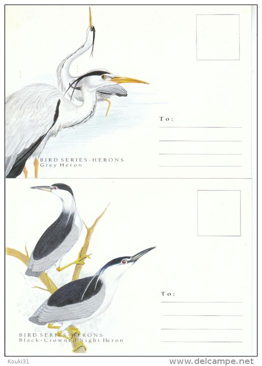 Singapour 4 Cartes Du Bureau Philatélique ** : Hérons - 1994 - Storks & Long-legged Wading Birds