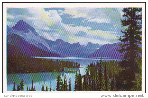 Maligne Lake Vista Jasper Alberta Canada - Jasper