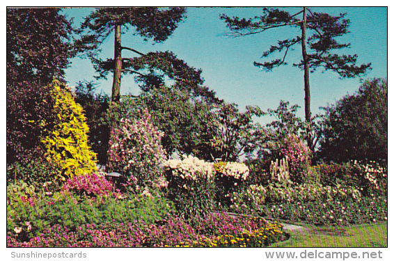 Floral Beauty Beacon Hill Park Victoria British Columbia Canada - Victoria