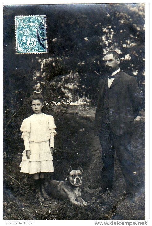 Carte Photo    Chien  Boxer - Te Identificeren