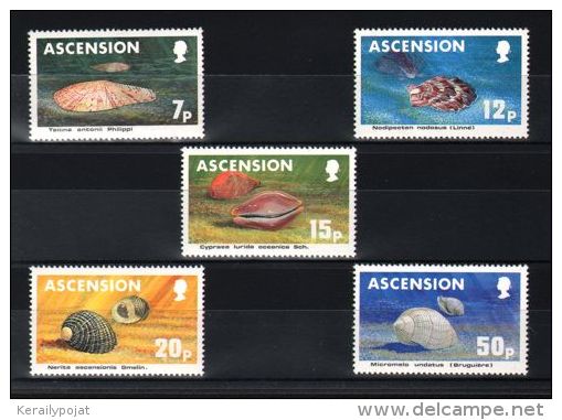 Ascension - 1983 Shells MNH__(TH-10964) - Ascension