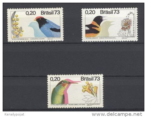 Brazil - 1973 Birds MNH__(TH-441) - Unused Stamps