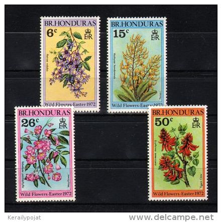 British Honduras - 1972 Wild Flowers MNH__(TH-6279) - British Honduras (...-1970)