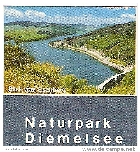 AK 3935 Naturpark Diemelsee Mehrbildkarte 6 Bilder 19. 6. 73 - 10 3541 HERINGHAUSEN A - Frankenberg (Eder)