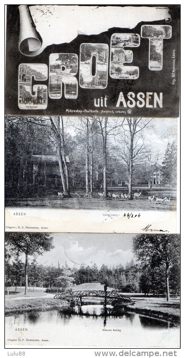 ASSEN  LE LOT De 3 Cartes                   D593 - Assen