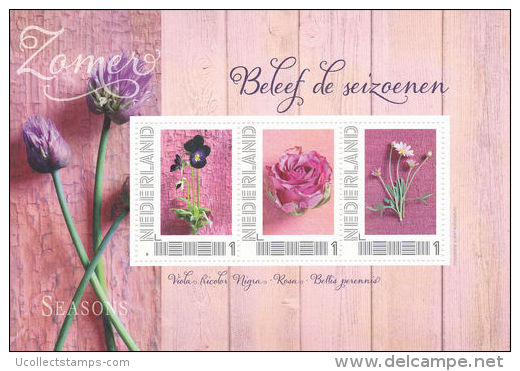 Nederland Bloemen Flowers Blumen  Beleef De Seizoenen  Zomer Postfris - Unused Stamps