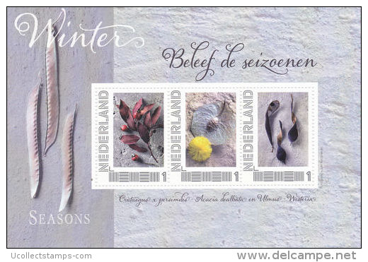Nederland Beleef De Seizoenen  Wnter Postfris - Unused Stamps
