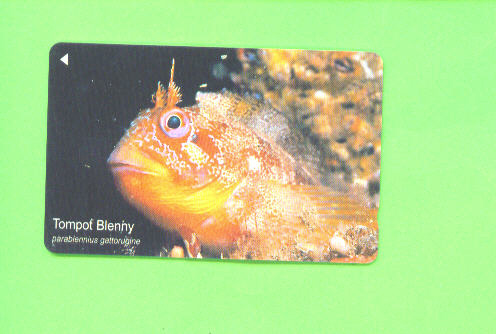 JERSEY - Magnetic Phonecard As Scan/Fish - [ 7] Jersey Und Guernsey