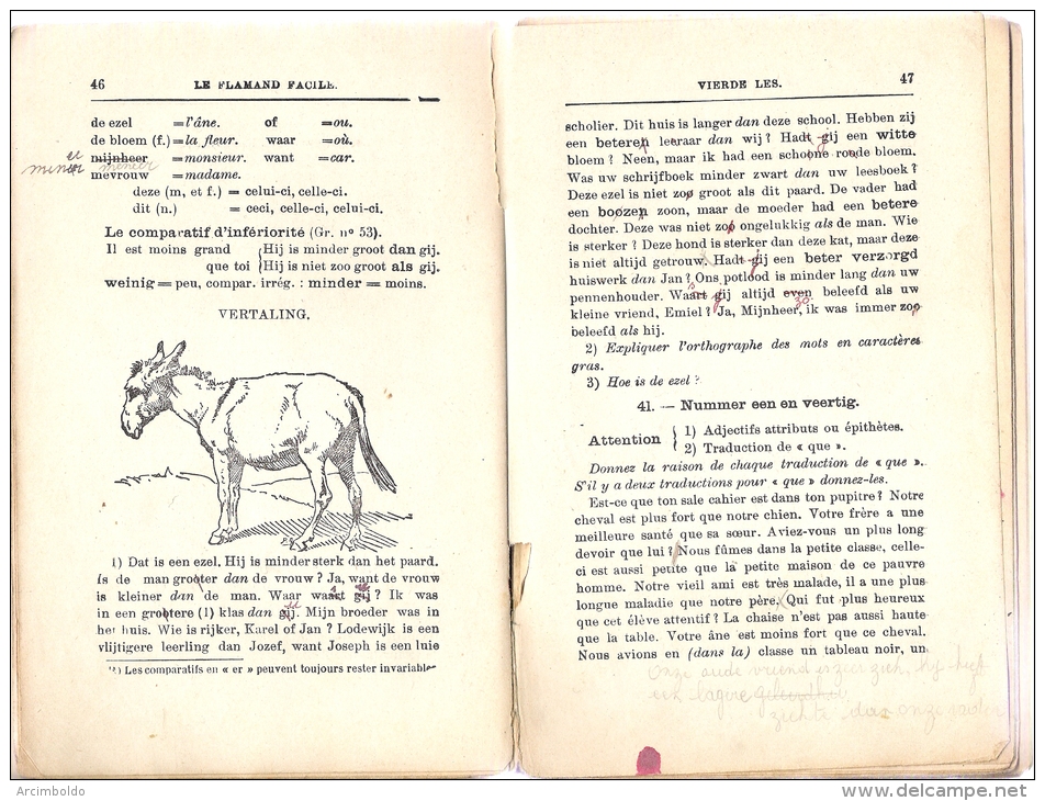 Le Flamand (néerlandais) Facile Par Tordeurs Ed H.Dessain 1940 - 12-18 Años