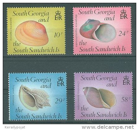 South Georgia - 1988 Shells MNH__(TH-471) - Géorgie Du Sud