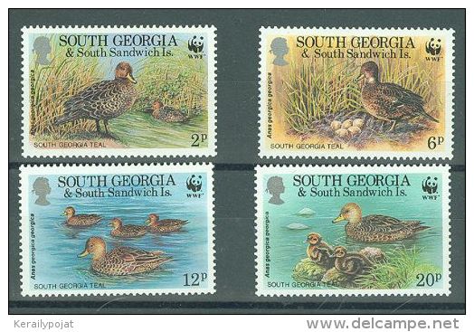 South Georgia - 1992 Ducks MNH__(TH-487) - Südgeorgien