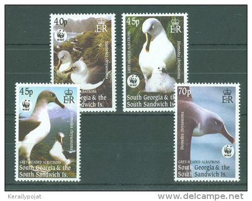 South Georgia - 2003 Albatross MNH__(TH-7726) - South Georgia