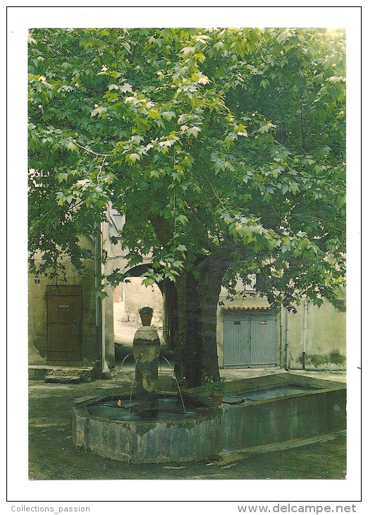 Cp, 83, Barjols, Fontaine De La Cour - Barjols