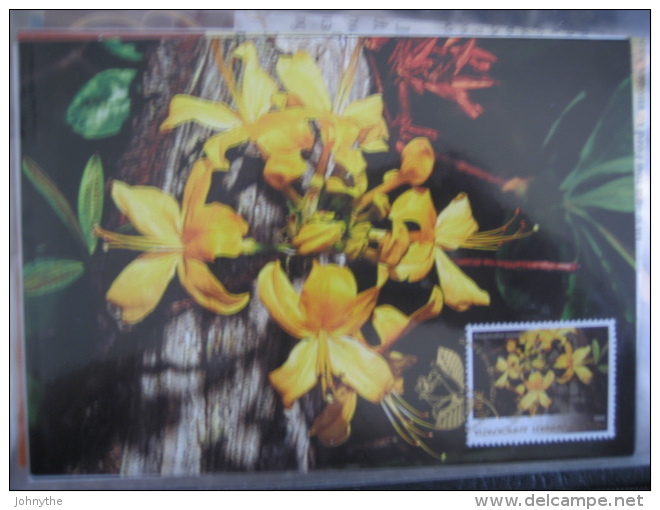 Greece 2005 Greek Flora Set Of 5 Maximum Cards - Maximum Cards & Covers