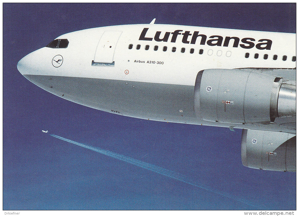 Lufthansa, Airbus A310-300, Um 1989 - 1946-....: Moderne