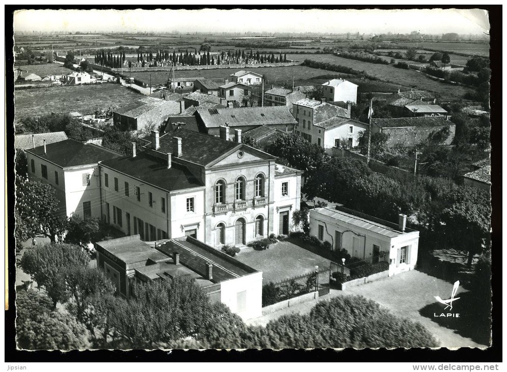 Cpsm  Du 79 En Avion Au-dessus De  ....   Mauze Sur Le Mignon L' Hôtel De Ville      6ao32 - Mauze Sur Le Mignon