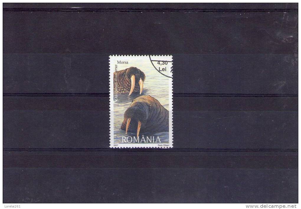 2007 - La Faune Protégées  YV = 5269et Michel = 6261 - Used Stamps