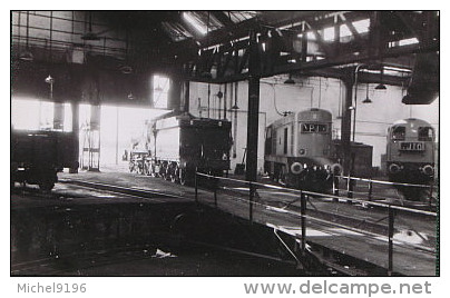 Photo Dépot Locomotives De YORK En 1967 Cliché Schnabel - Trains