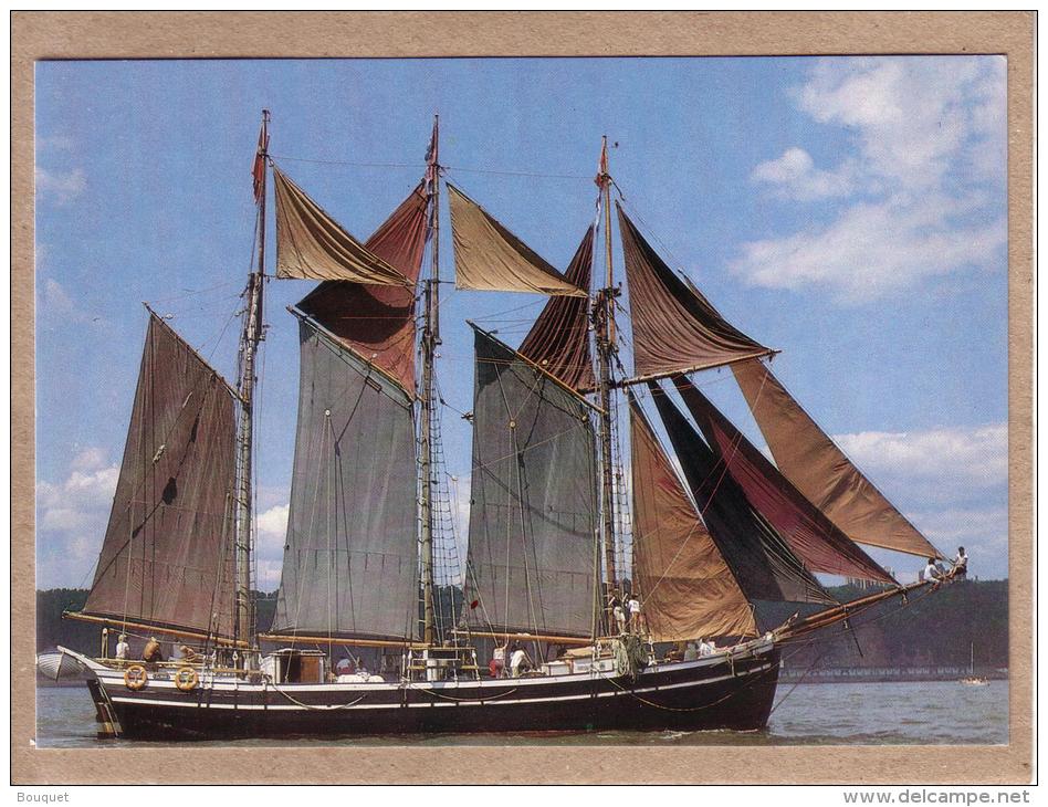 CANADA - CPM - VOILIER 3 MATS - SUR LE ST LAURENT POUR LE 450E ANNIVERSAIRE DE JACQUES CARTIER - Postales Modernas