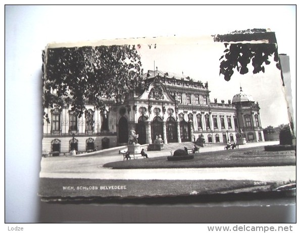 Oostenrijk  Österreich Wenen Wien 104 Belvedere - Belvédère