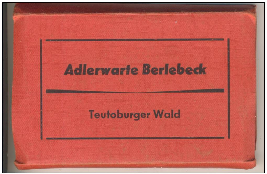 Berlebeck V. 1953 / 55   Adlerwarte Berlebeck ---  Siehe Foto !!   (27799-3) - Detmold