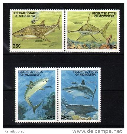 Micronesia - 1989 Sharks MNH__(TH-2651) - Micronesia