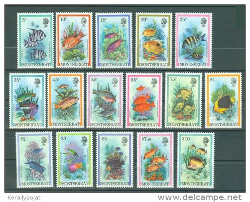 Montserrat - 1981 Fishes MNH__(THB-423) - Montserrat