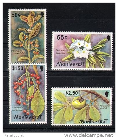 Montserrat - 1982 Flowers MNH__(TH-4773) - Montserrat