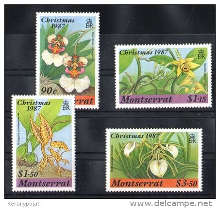 Montserrat - 1987 Orchids MNH__(TH-4712) - Montserrat